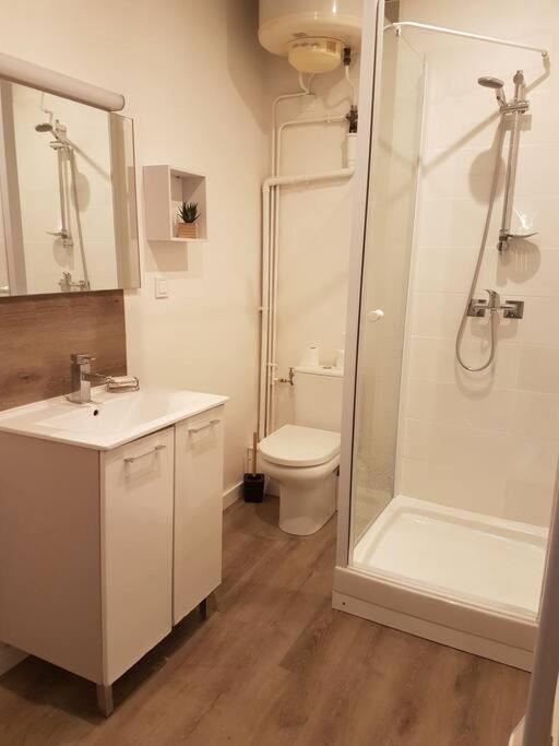 Agreable Appartement Lumineux Au Centre-Ville Oyonnax Εξωτερικό φωτογραφία